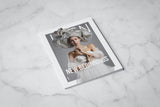 VZSN Magazine | New Beginnings | Vol. 3 Issue 1 (DIGITAL+PRINT)