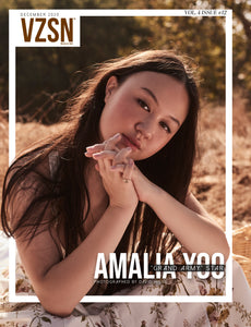 VZSN Magazine | Vol. 4 Issue 12 (DIGITAL ONLY)
